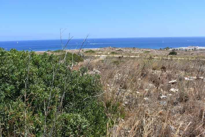 FoE Malta says Pembroke open space should remain for public enjoyment - The Malta Independent