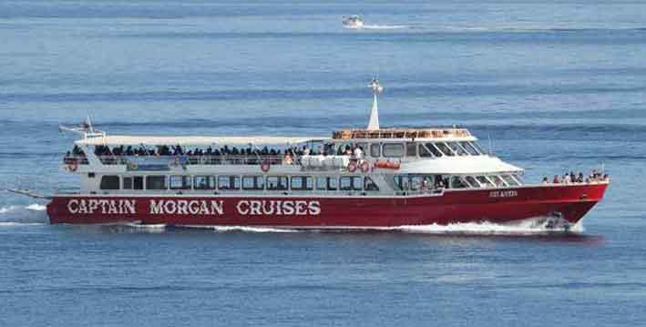 Captain Morgan insists it follows all safety procedures following criticism over man’s death - The Malta Independent
