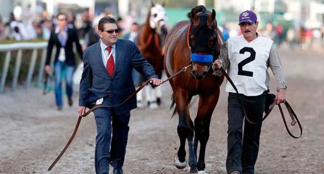 In this Saturday, Jan. 27, 2018 file photo, West Coast is led onto the track for the 12th race at the Pegasus World Cup Invitational horse race, at Gulfstream Park in Hallandale Beach, Fla. Bob Baffert has a shot at becoming only the second trainer to win the $10 million Dubai World Cup horse race in successive years on Saturday March 31, 2018. Last year he did it with Arrogate. This year, his West Coast is the favorite. (AP Photo/Lynne Sladky, File)
