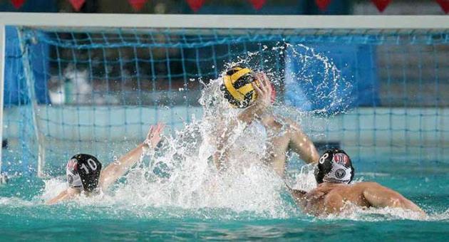 Photos: Domenic Aquilina