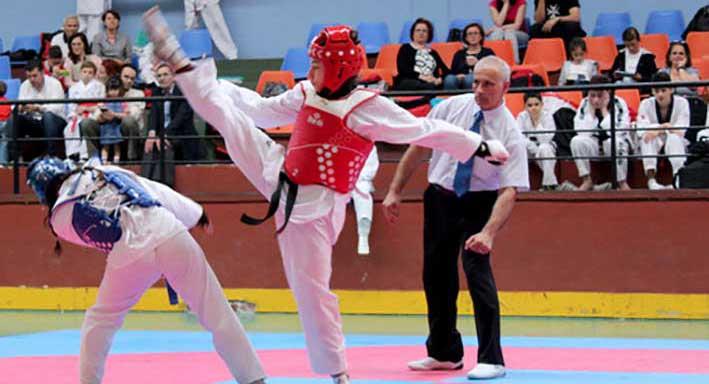 Taekwondo: Successful month for Dragon Academy Malta - The Malta ...
