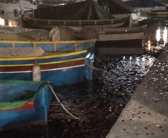 Plastic in Marsascala bay after summer carnival causes concern - The Malta Independent