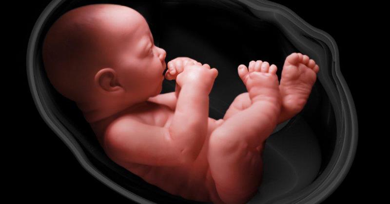 Doctors tell Commissioner for Children to declare her position in favour of the pre-born - The Malta Independent