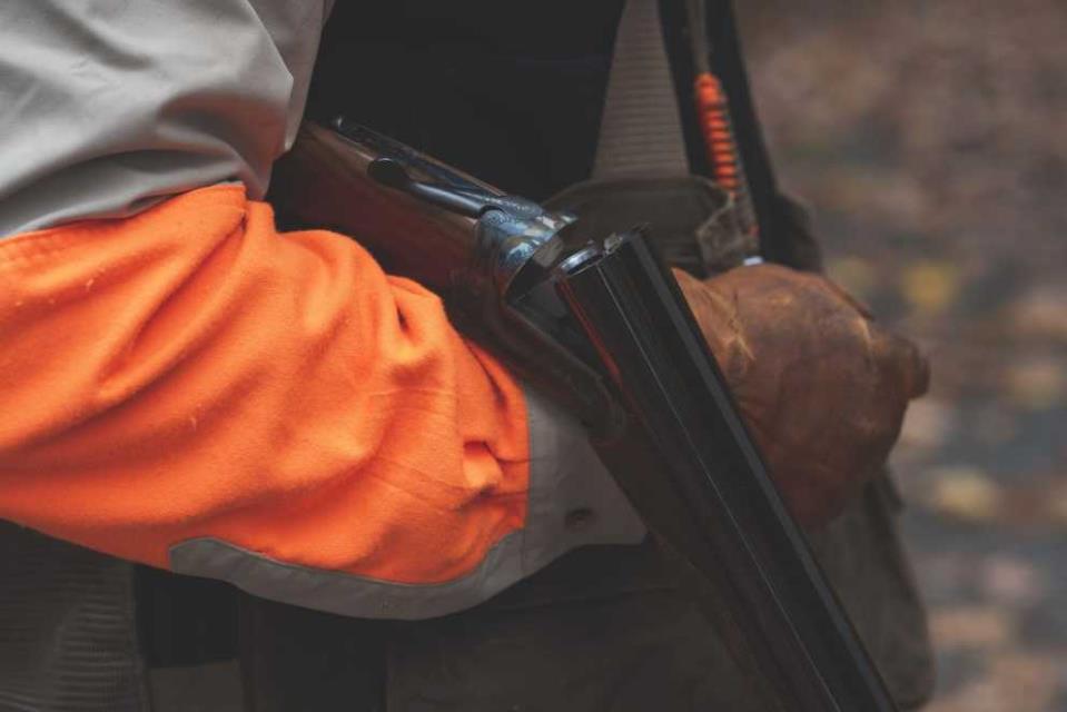 At least 19 protected birds gunned down since opening of autumn hunting season – BirdLife Malta - The Malta Independent