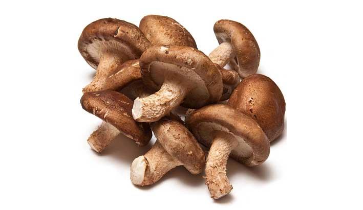 Как выглядят грибы шиитаки The Shiitake Mushroom - Lentinula edodes - The Malta Independent