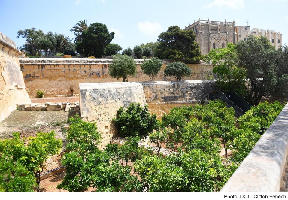 Ambjent Malta completes first phase of the restoration of St Philip's Garden in Floriana - Vimarsana News