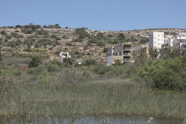 Simar Nature Reserve in Xemxija 'under threat due to wrong development policies' - Vimarsana News
