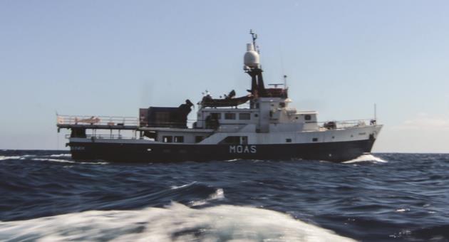 moas ship