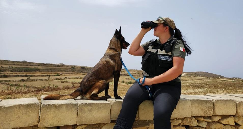 MRU ranger says politicians lack will to address environmental issues - The Malta Independent
