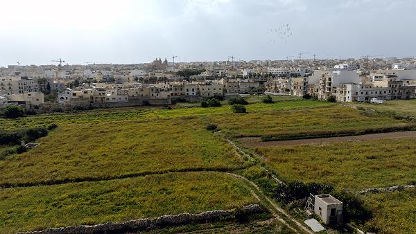 Resident groups, NGOs support Tal-Bebbux farmers - The Malta Independent