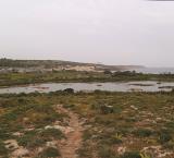 Ghadira Nature Reserve - Photo Aron Tanti