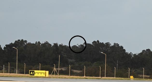 Common Crane shot down at the Safi side of MIA_BirdLife Malta