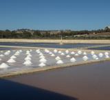 Traditional salt harvesting at Salina Nature Reserve, where freshly harvested sea salt is gathered into piles. Photo: Aron Tanti