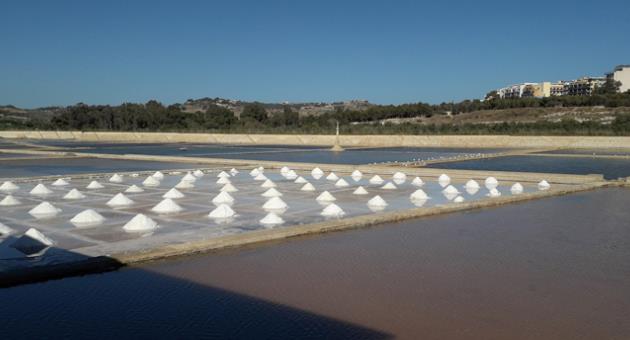 Traditional salt harvesting at Salina Nature Reserve, where freshly harvested sea salt is gathered into piles. Photo: Aron Tanti
