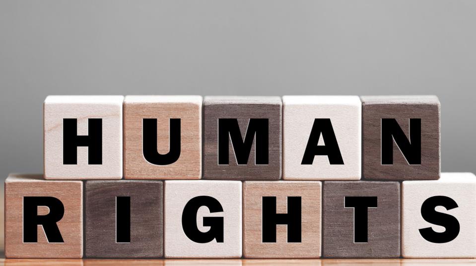 Equality Law is regressive and should be ditched, law professor says