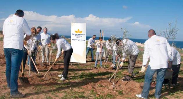 British American Tobacco Malta staff embellishing areas around Fort Rinella, Kalkara